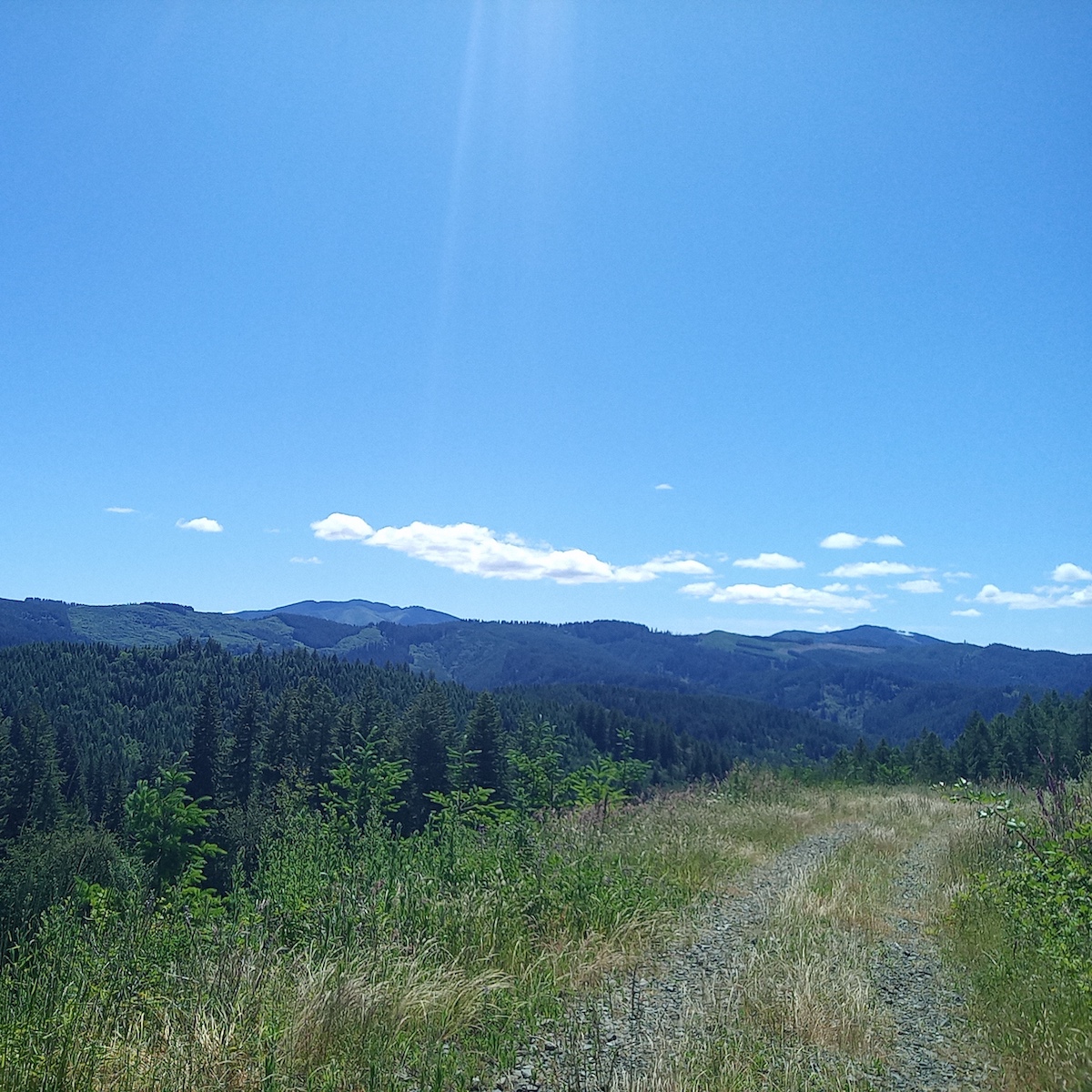 High, dry view of forested hills under a blue sky from the gravel road on the ridge